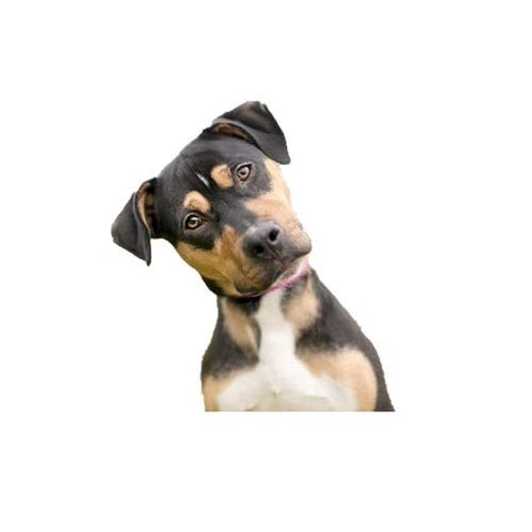 Complete Chicken Meal